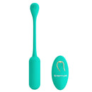 Lechies Dream Chaser Rechargeable Remote Control Egg Vibrator