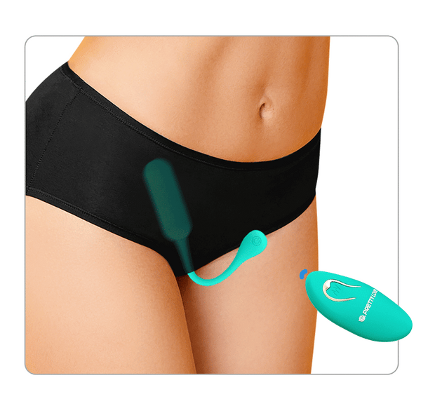 Lechies Dream Chaser Rechargeable Remote Control Egg Vibrator