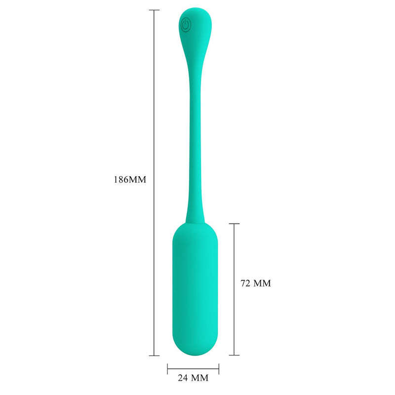 Lechies Dream Chaser Rechargeable Remote Control Egg Vibrator
