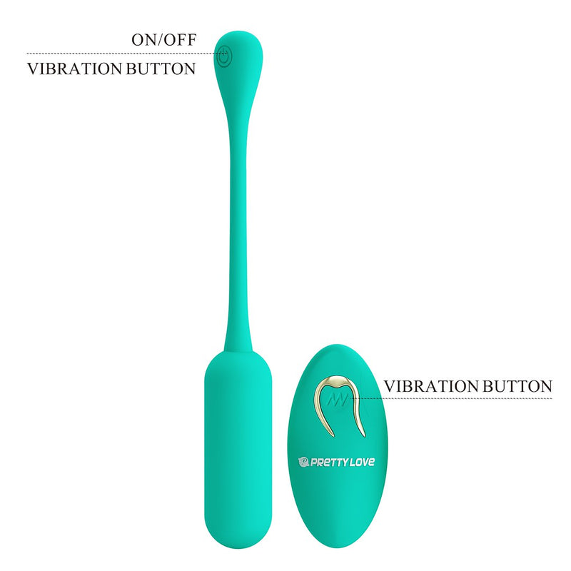 Lechies Dream Chaser Rechargeable Remote Control Egg Vibrator