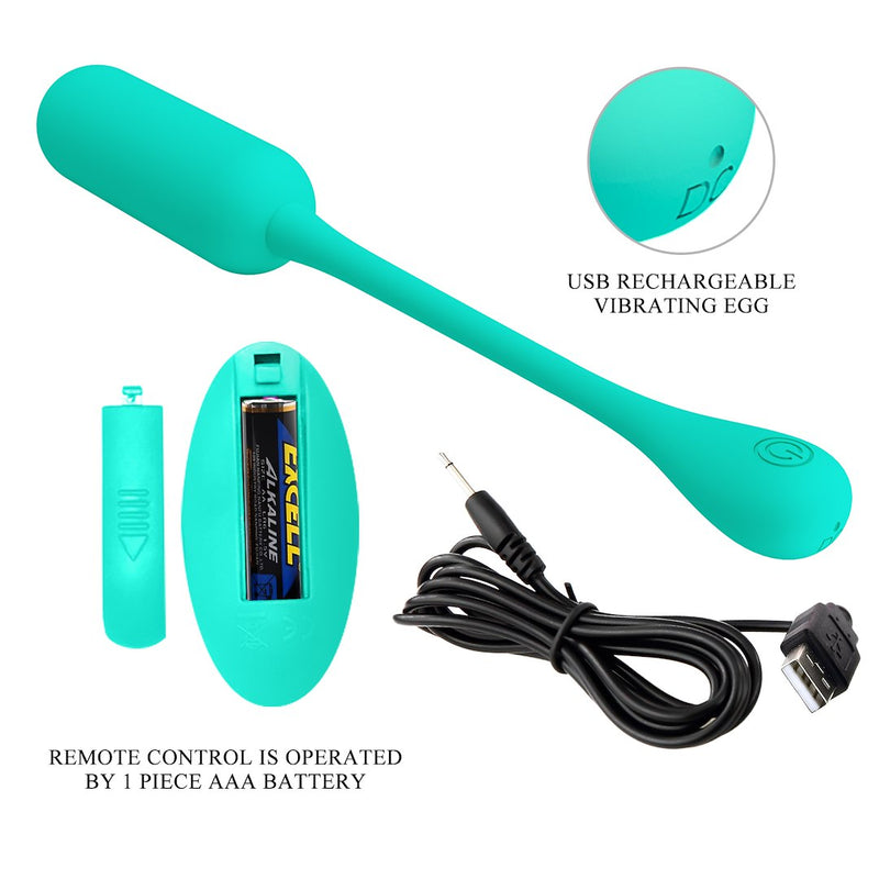 Lechies Dream Chaser Rechargeable Remote Control Egg Vibrator