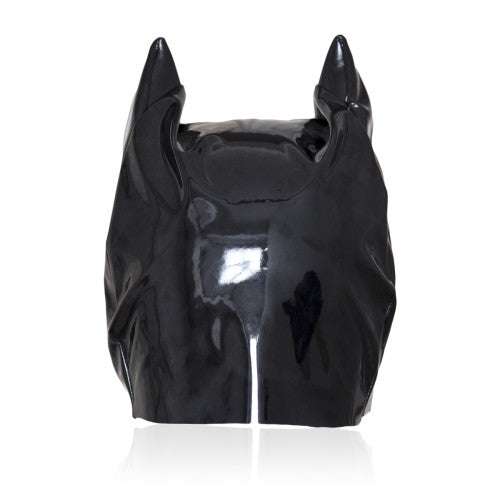 Black shiny Catwoman Mask Hood