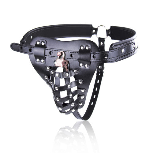 Penis and testicles Lockdown Chastity Belt Thong M-XL