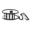 Transparent Collar and Leash 46x5.5cm