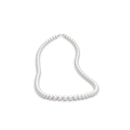 Shunga Calendar of Desires 25 — Limited Edition