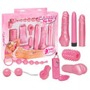 Complete 9pcs Pink Sex Toy Set