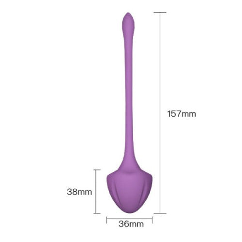 VIRGO Traning Set 5 silicone Kegel weighted balls