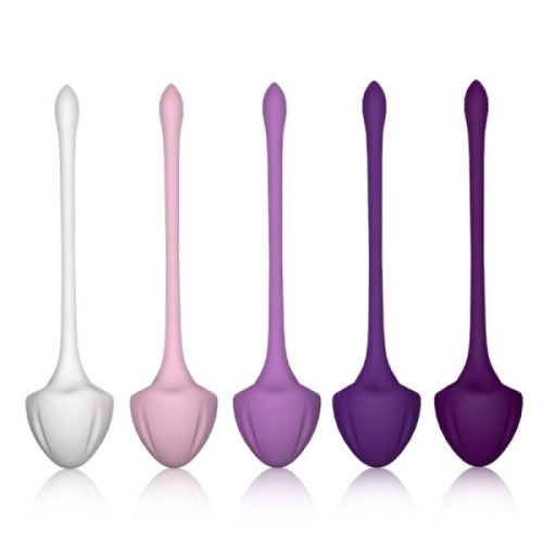 VIRGO Traning Set 5 silicone Kegel weighted balls