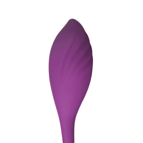 App and Remote Controlled G Spot Vibrator