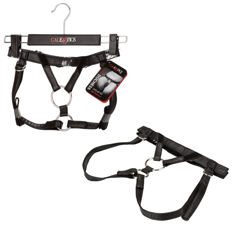 Her Royal Harness - the Dutchess