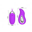 Eden Rechargeable Vibro Egg with vibrating RC