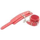 RED Bdsm set of 6 pieces