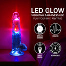 LED Vibrating Straight Cock with Balls - 8 / 20 cm - Transparent