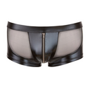 Wetlook-Net Pants with Zip