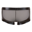 Wetlook-Net Pants with Zip