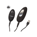 Silicone Remote Panty Pleaser