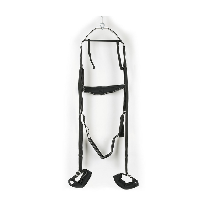 Bad Kitty Swing Set