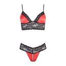 Amorous Lace Satin Bra Set