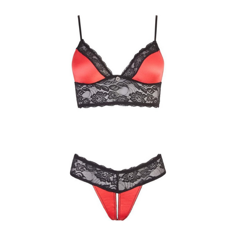 Amorous Lace Satin Bra Set