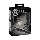 Rebel Prostate Training Set