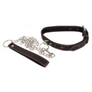 Bad Kitty - Collar and Leash