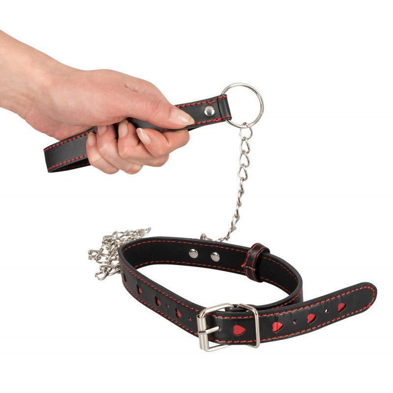 Bad Kitty - Collar and Leash